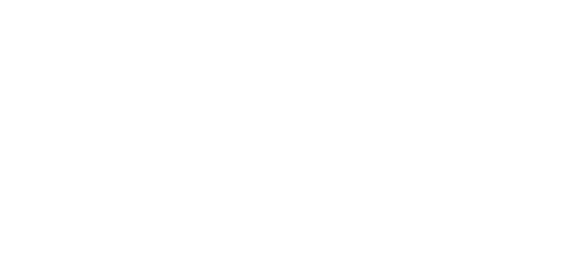 dfwh logo white